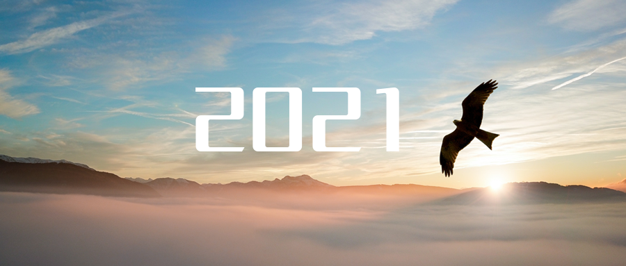 乘“峰”而上，智“盈”未来 ——2021年今年会环境高级资深副总裁新年开工动员